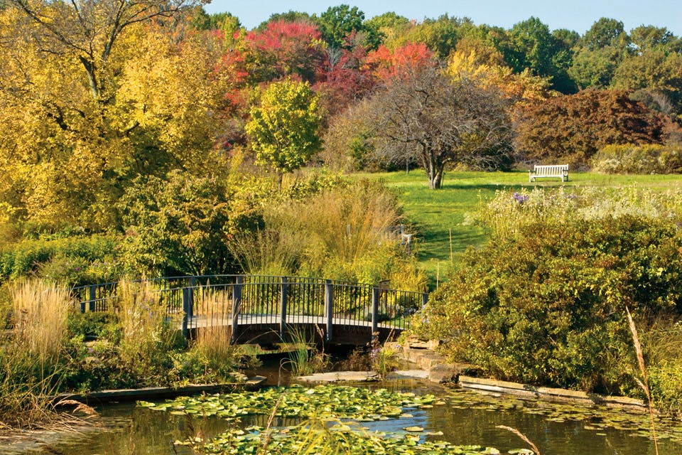 Fall at Holden Arboretum