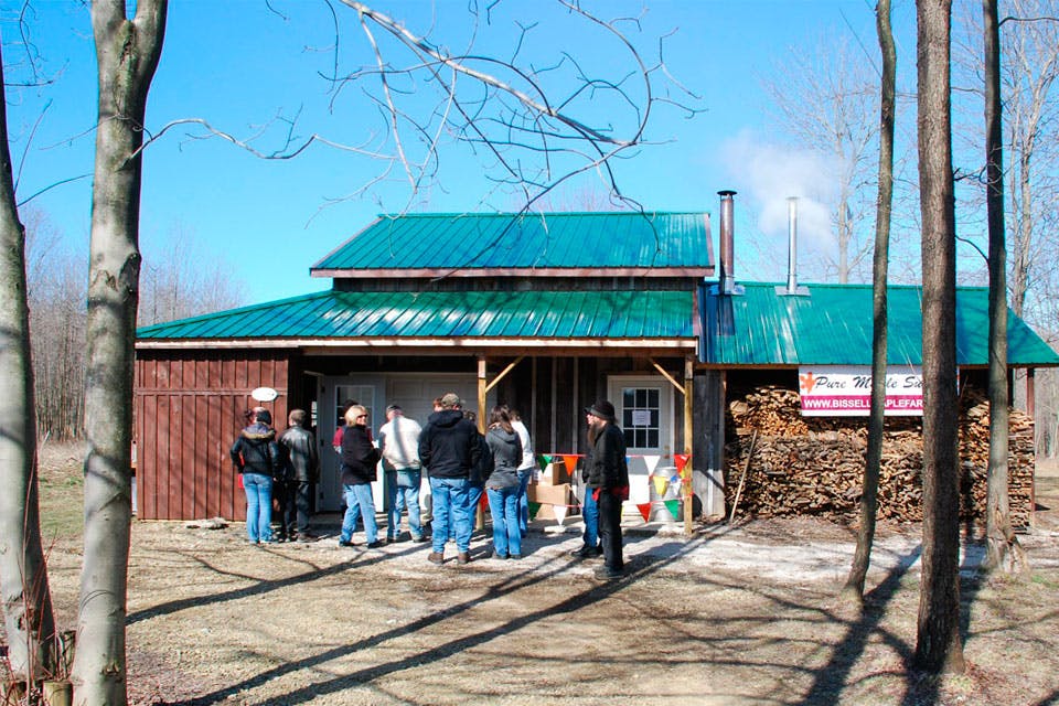 Bissell Maple Farm