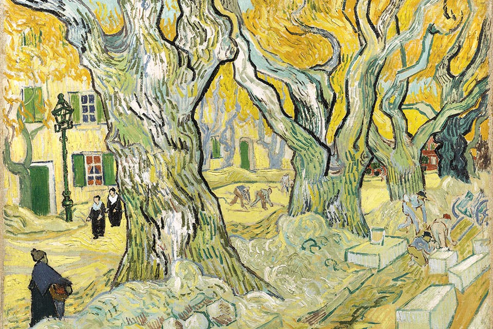 Image_Conscious_Large_Plane_Trees Image_Conscious_Large_Plane_Trees