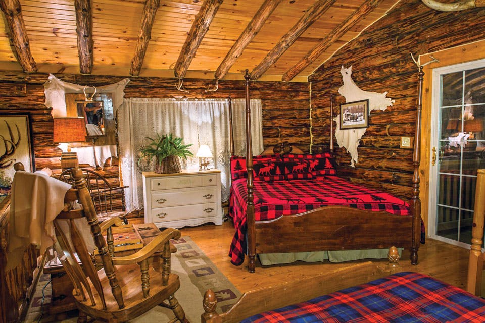 Cabin-comforts_possum Cabin-comforts_possum