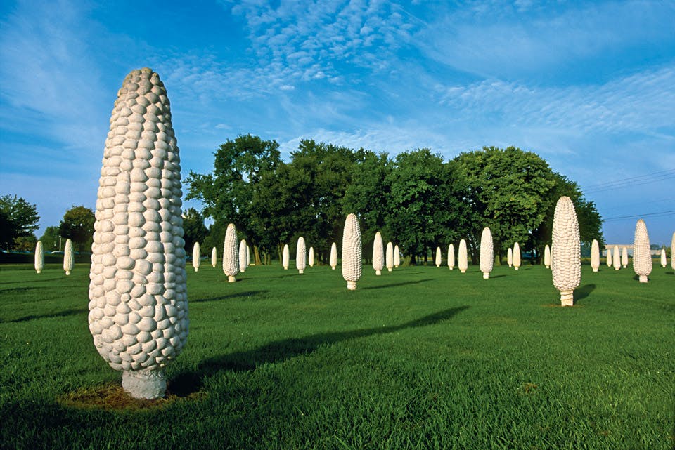 field of corn sculptures
