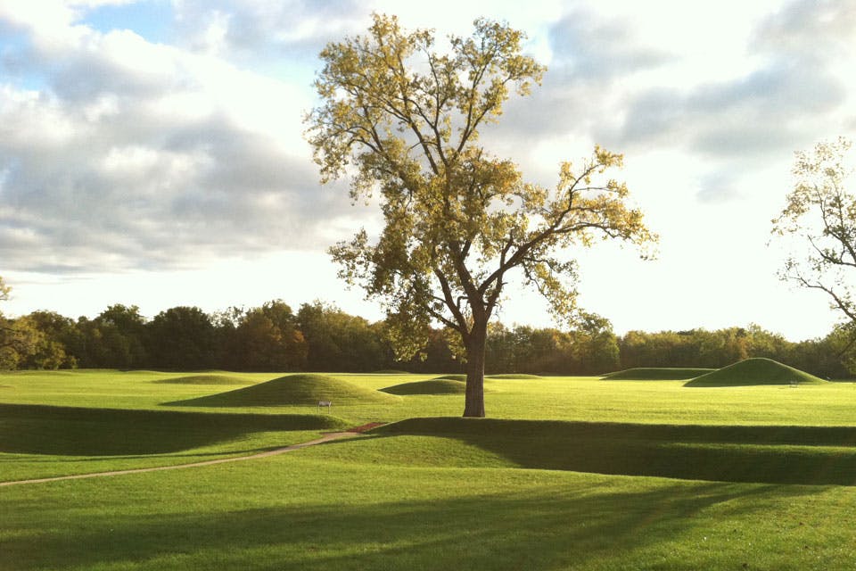 native-insight_ross-county native-insight_ross-county