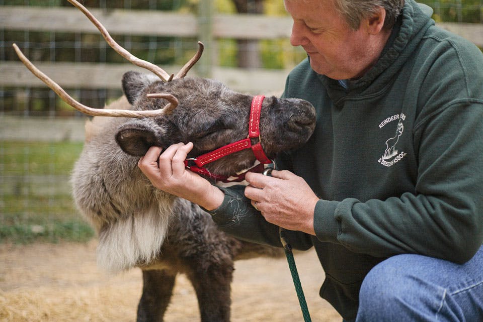 man_with_reindeer