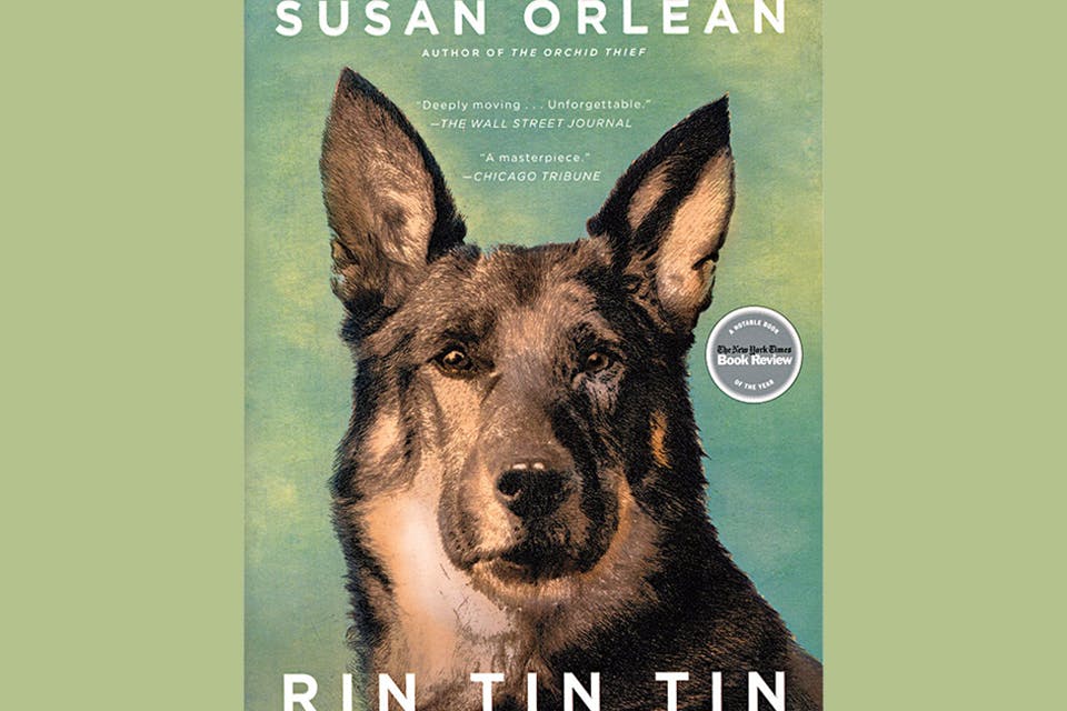 Rin Tin Tin: The Life and the Legend, a book by Susan Orlean