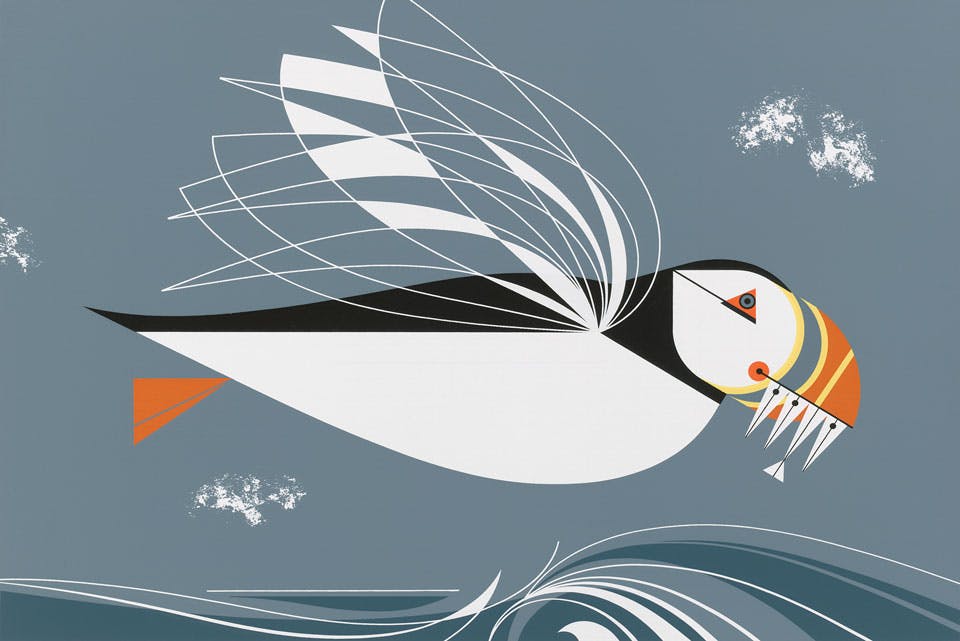 Charley Harper’s ‘Name Is Puffin’ (artwork courtesy of Pomegranate Communications)