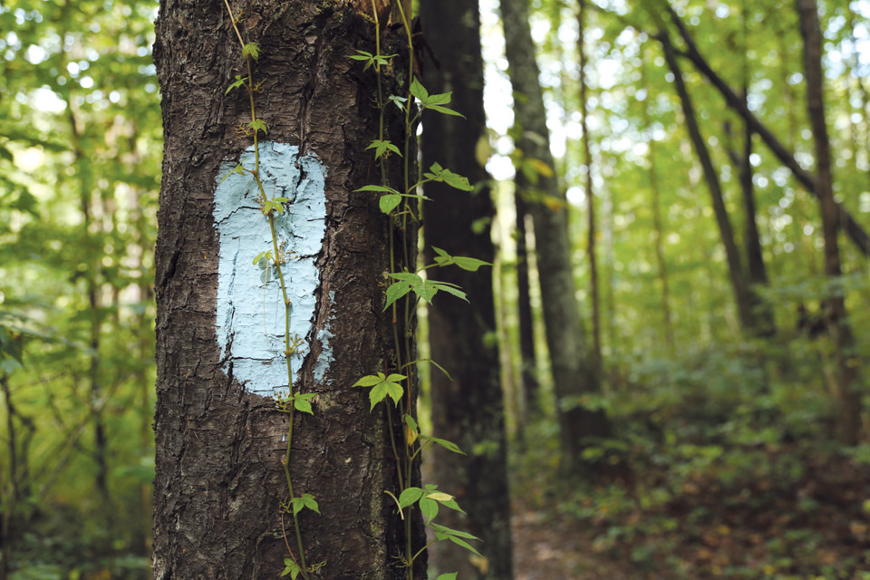 The Adventures of Two Buckeye Trail Thru Hikers