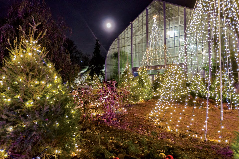 Holiday Show at Krohn Conservatory
