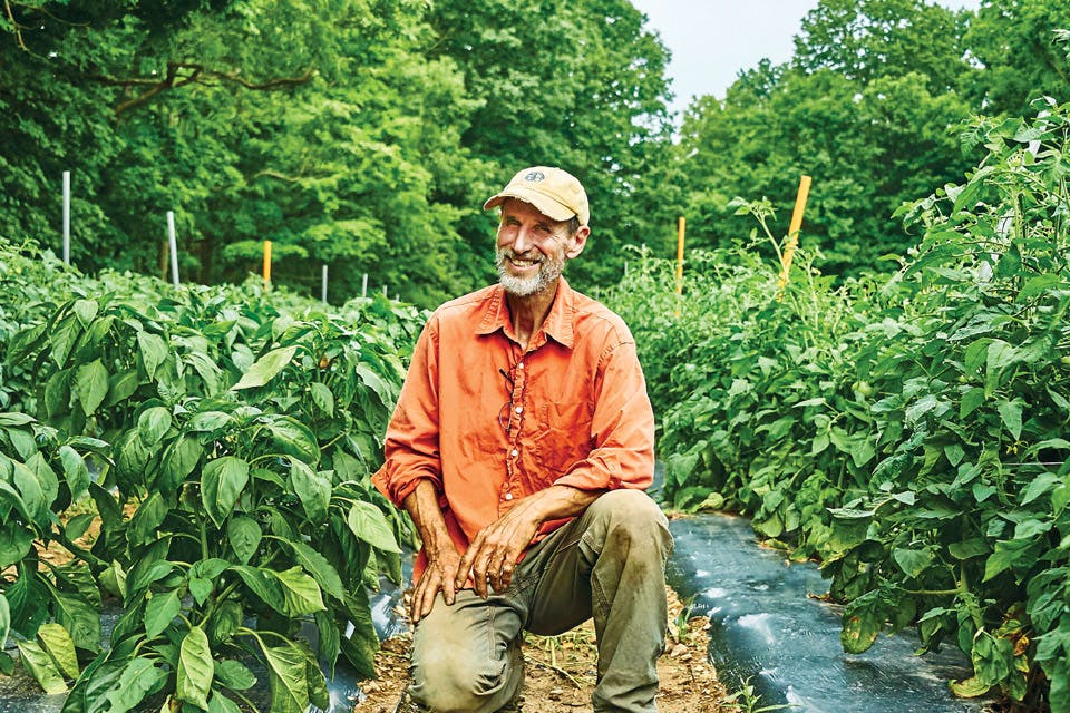 George-Remington-Peppers George-Remington-Peppers