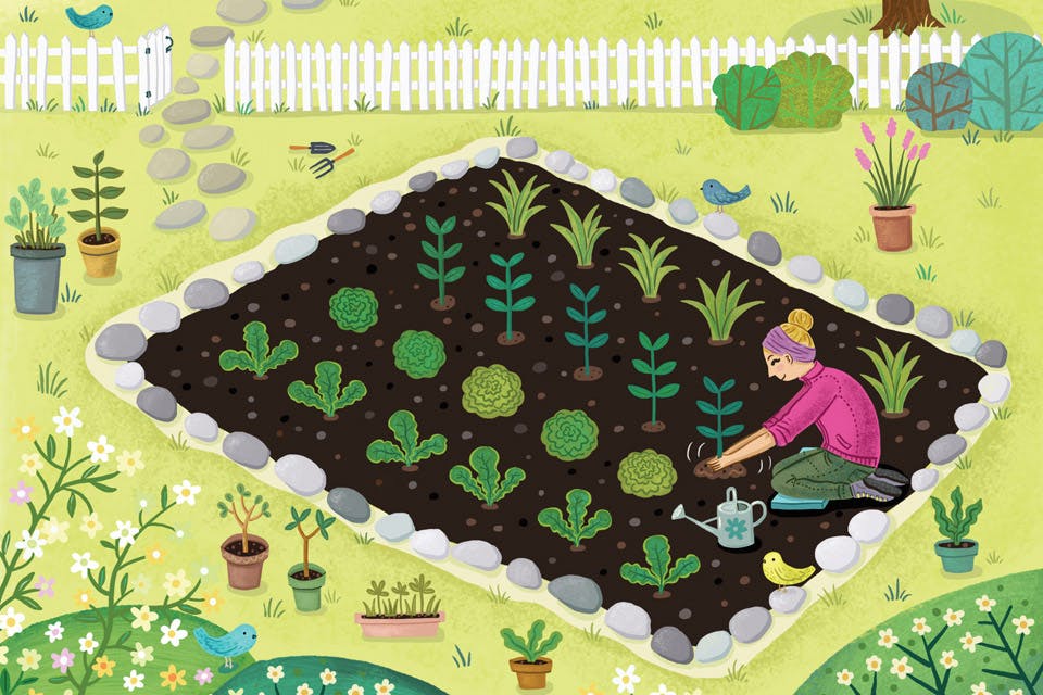 Spring backyard gardening illustration