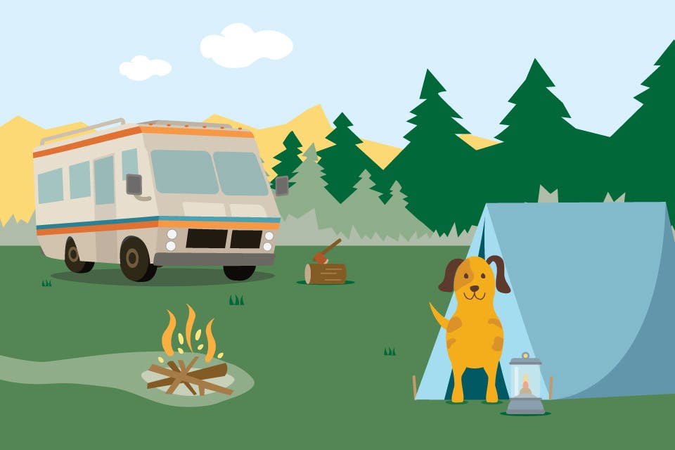 Camping with your dog illustration