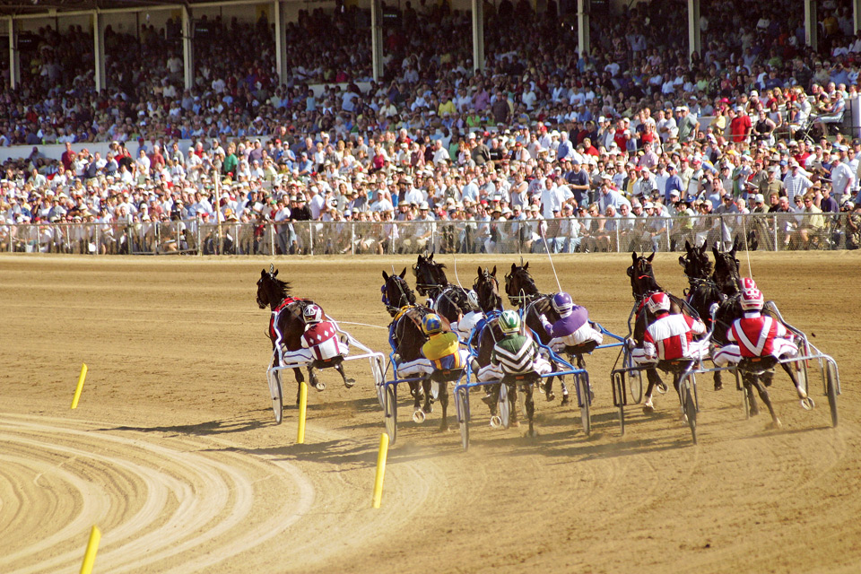 Little Brown Jug Delaware   Brown Jug Derby 