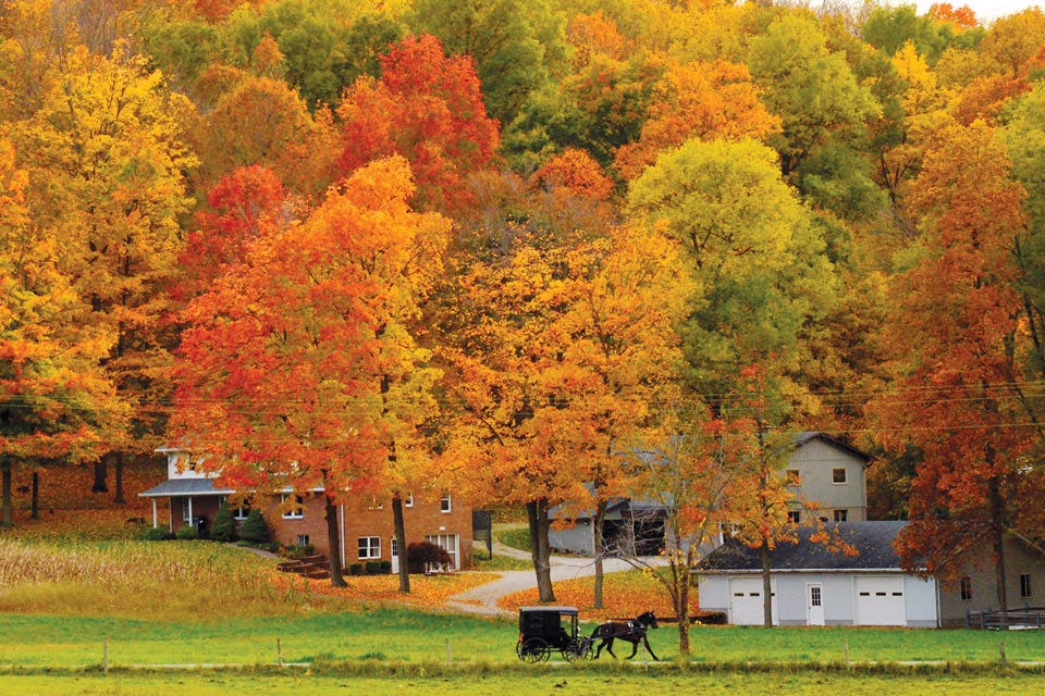 Amish holmes county fall
