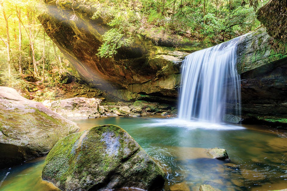 Dog Slaughter Falls Daniel Boone NF