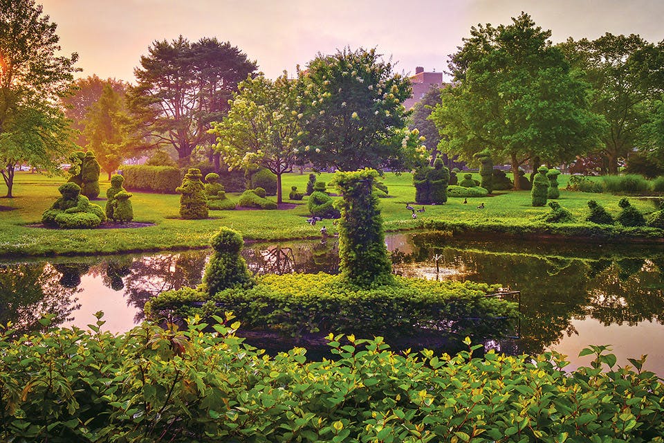 Topiary Park Randall Schieber