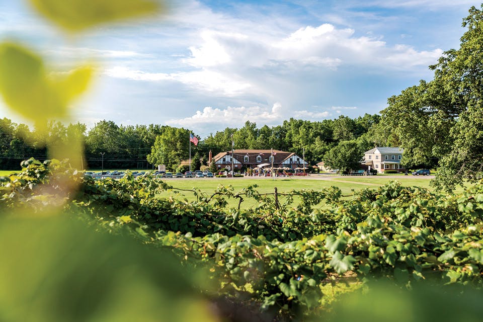 Valley-Vineyards Valley-Vineyards
