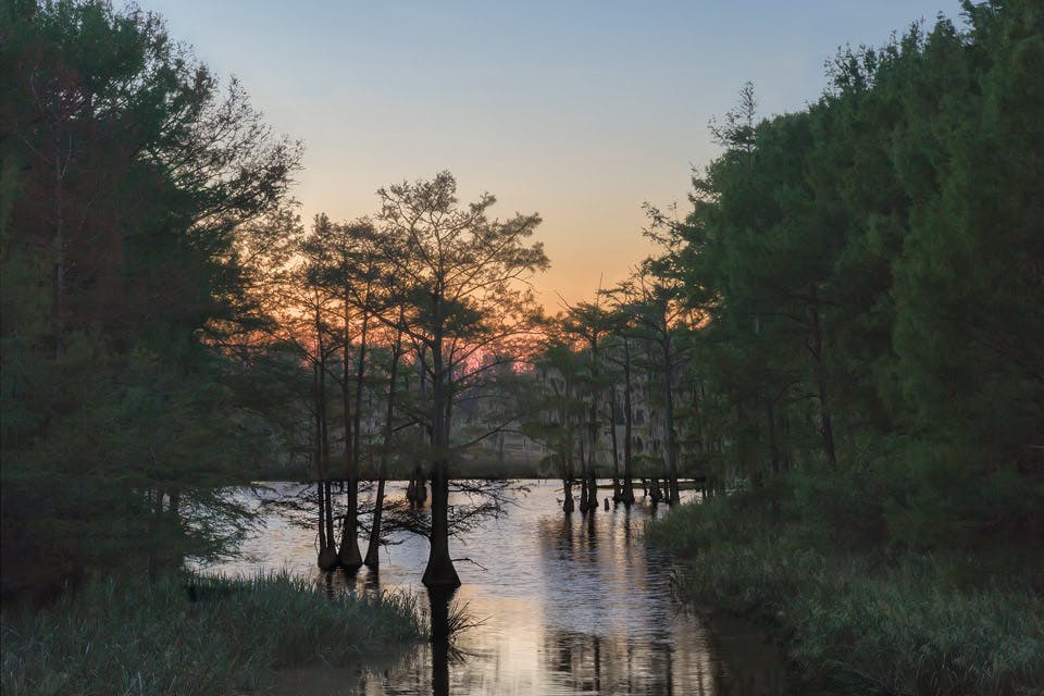 "Wading Prior to Blackness"