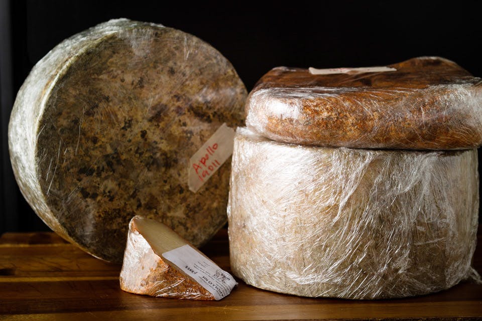 Cheeses from Lamp Post Cheese in Lebanon