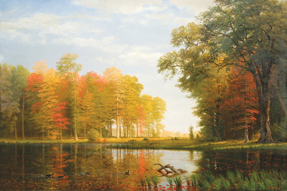 Albert Bierstadt's  “Autumn Woods, Oneida County, State of New York”