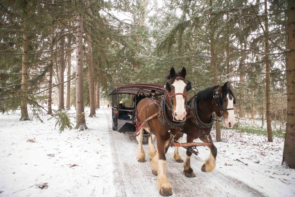 Sleigh Rides at Spiegel Grove