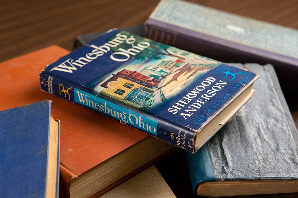 Winesburg Ohio Book