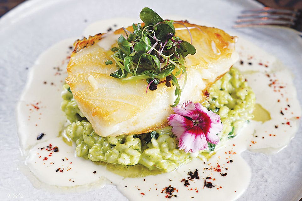 Cozy's Cafe sea bass Cozys-Cafe---Seabass