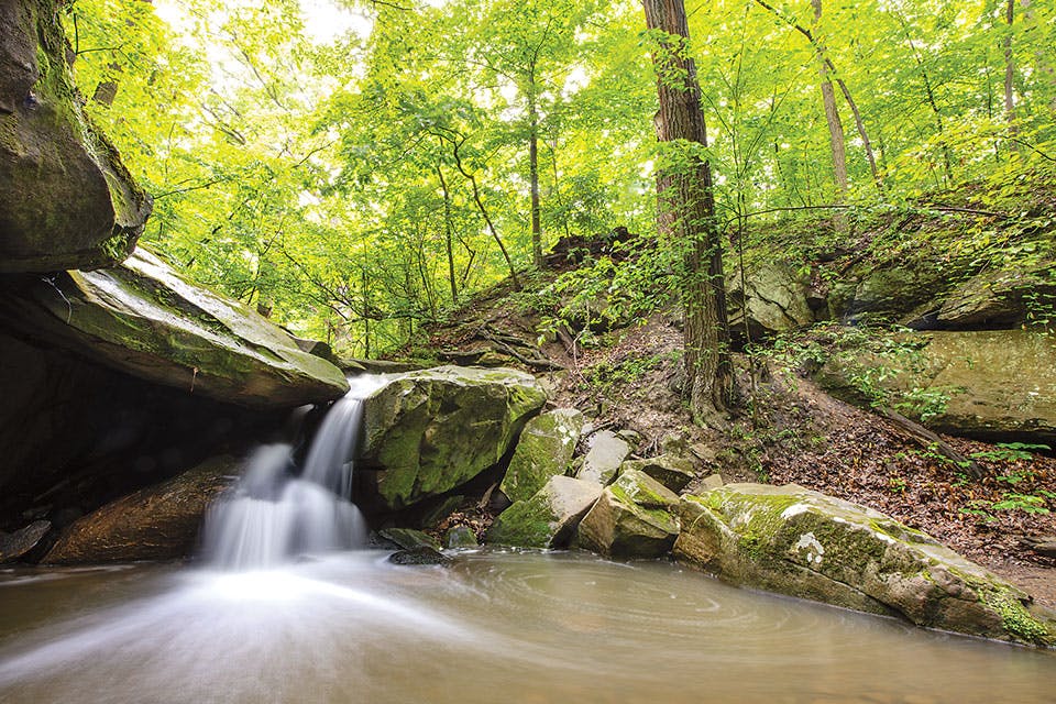 Brecksville Reservation (photo by Cleveland Metroparks' Kyle Lanzer) Brecksville Reservation (photo by Cleveland Metroparks' Kyle Lanzer)