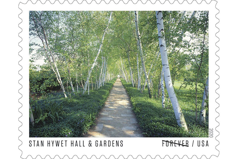 Birch Tree Allee Postage Stamp
