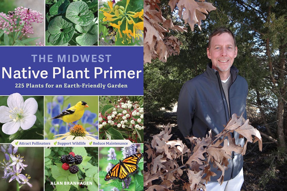 The Midwest Native Plant Primer, Alan Branhagen