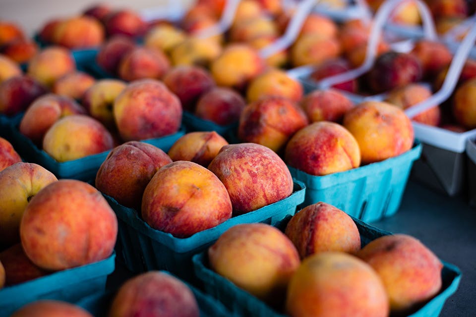 Peaches at Hershberger's (photo by Kristen Jones)