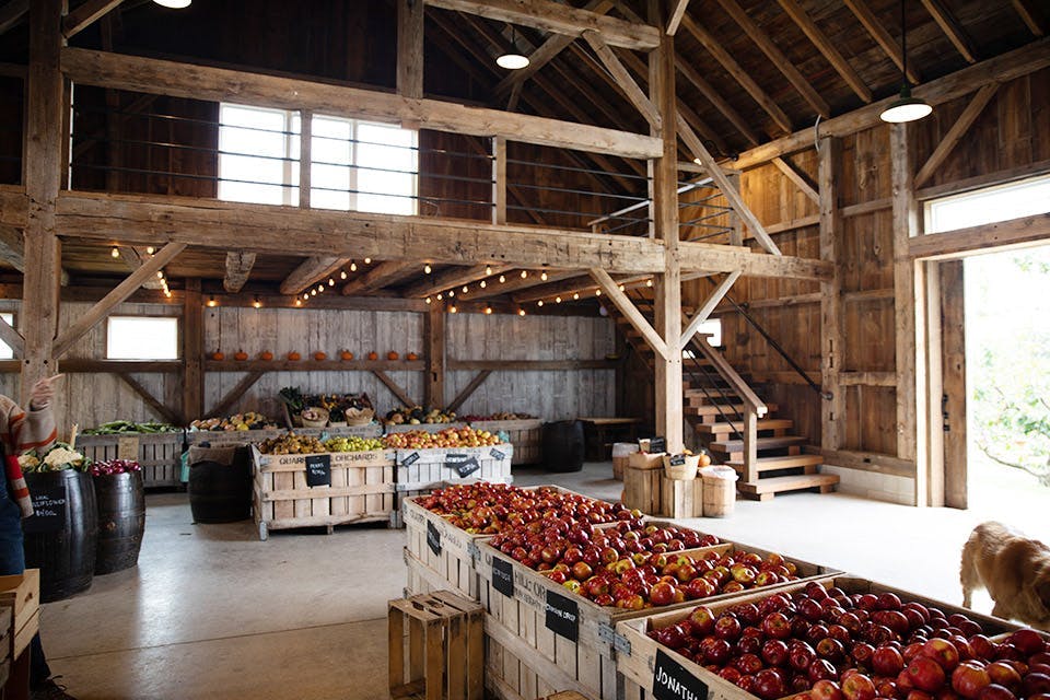 Quarry Hill Orchards’ Market Barn