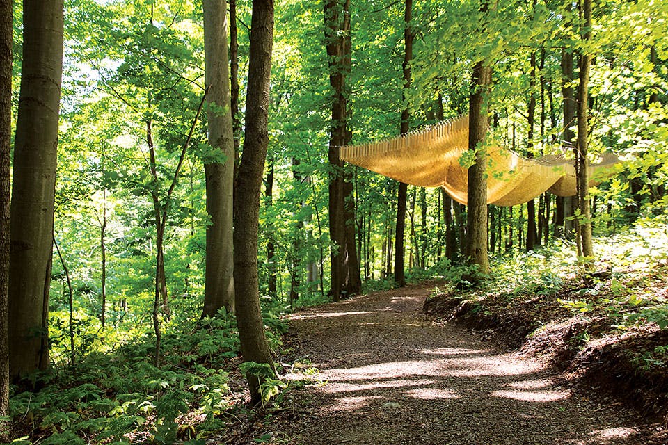 “Archer’s Roost” by Lauren Skunta “Archer’s Roost” by Lauren Skunta