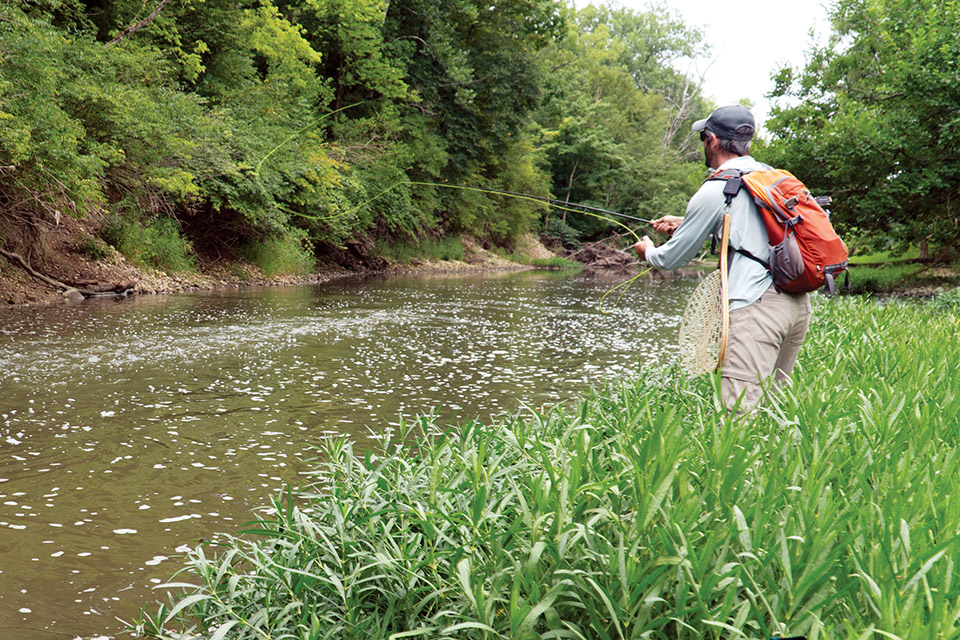 Fly Fishing in Columbus