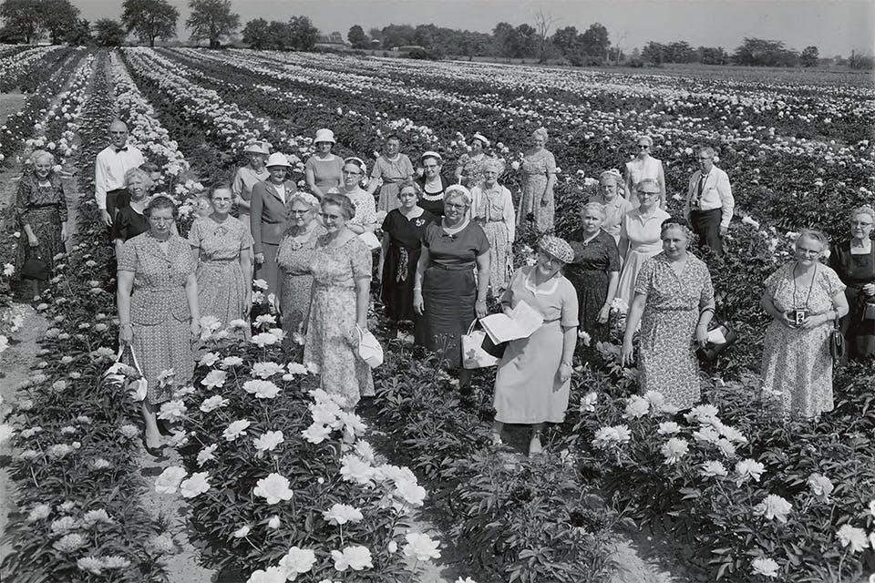 People at the Van Wert Peony Festival in the 1950s