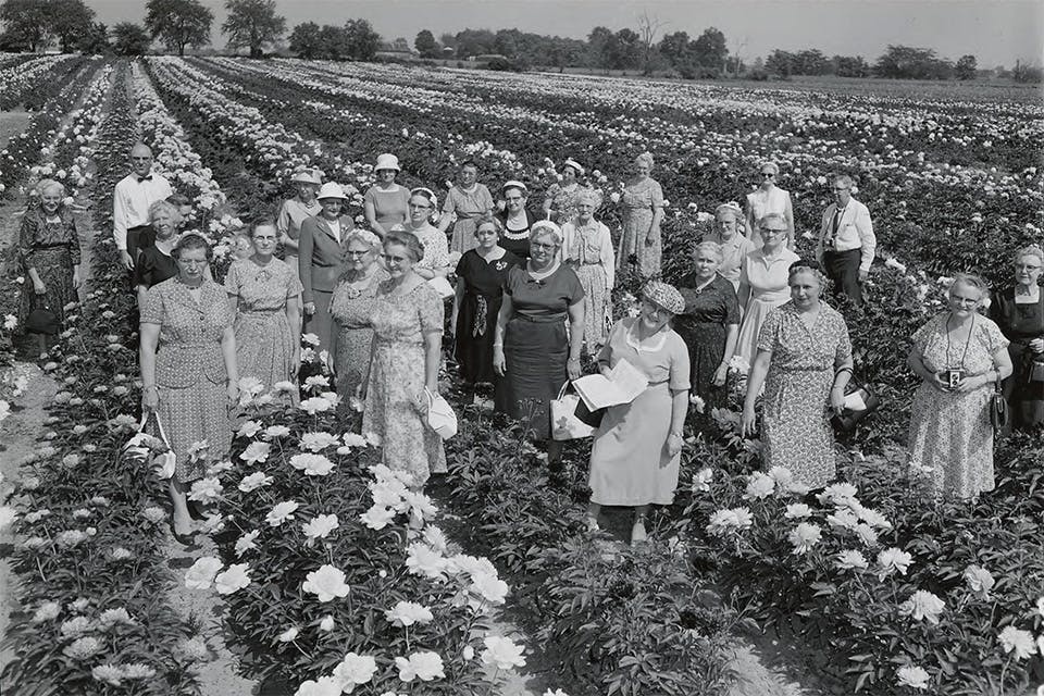 People at the Van Wert Peony Festival in the 1950s People at the Van Wert Peony Festival in the 1950s
