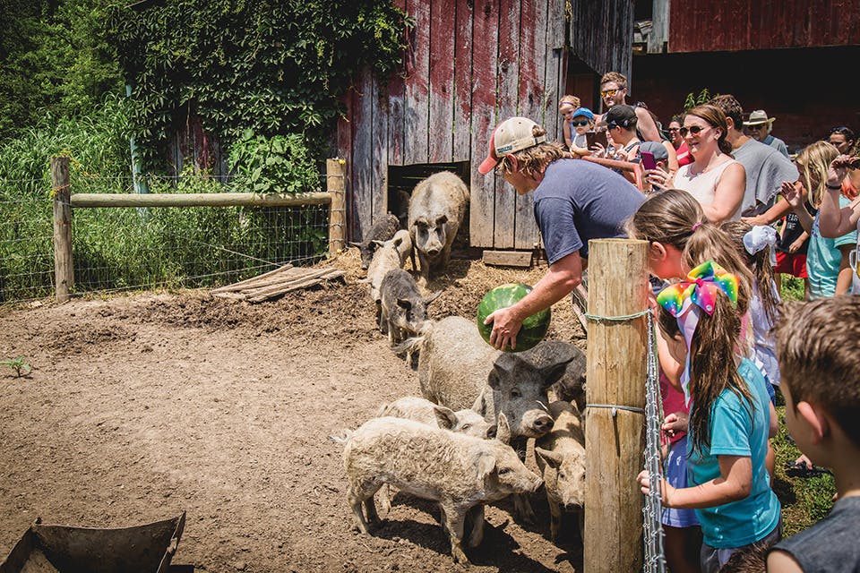 Kids and parents with pigs at Wooly Pig Farm Brewery
