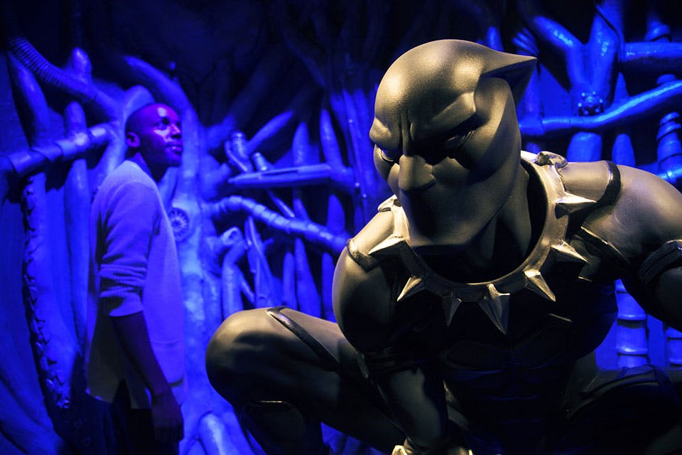 Black Panther from “Marvel: Universe of Super Heroes” Black Panther from “Marvel: Universe of Super Heroes”