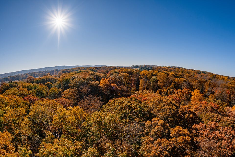 Panoramic view of fall trees at Holden Arboretum in Kirtland (photo by Erik Drost)