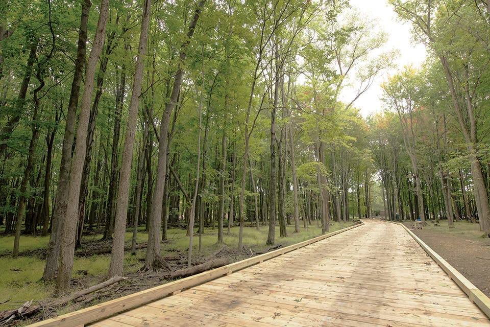 Wooden boardwalk at Cleveland Metroparks’ Euclid Creek Reservation (photo by Kyle Lanzer)