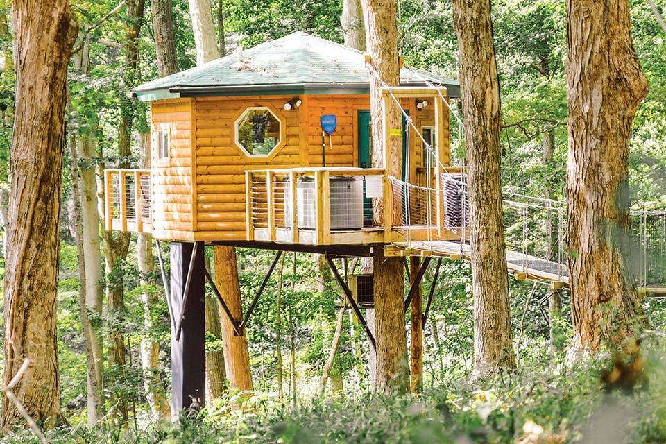 Among the Trees Lodging’s Safari Treehouse in Hocking Hills (photo courtesy of Among the Trees Lodging)