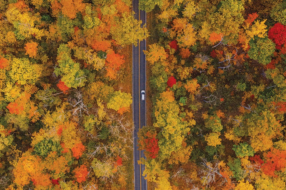 An overhead view of a road and forest near Hinckley Lake in northeast Ohio (photo by Nick Hoeller)