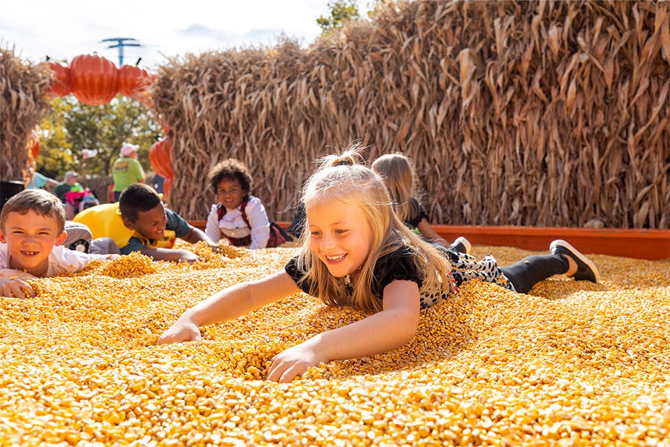 Child in corn box during Halloweekends (photo courtesy of Cedar Point)