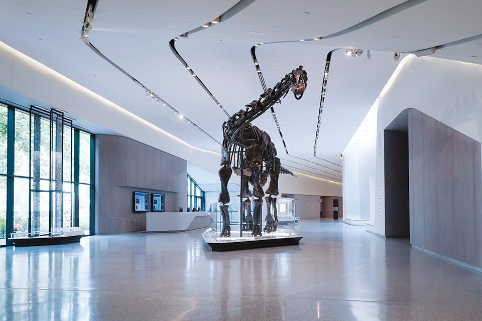 Dinosaur skeleton in Cleveland Museum of Natural History’s Visitor Hall (photo by Gus Chan)