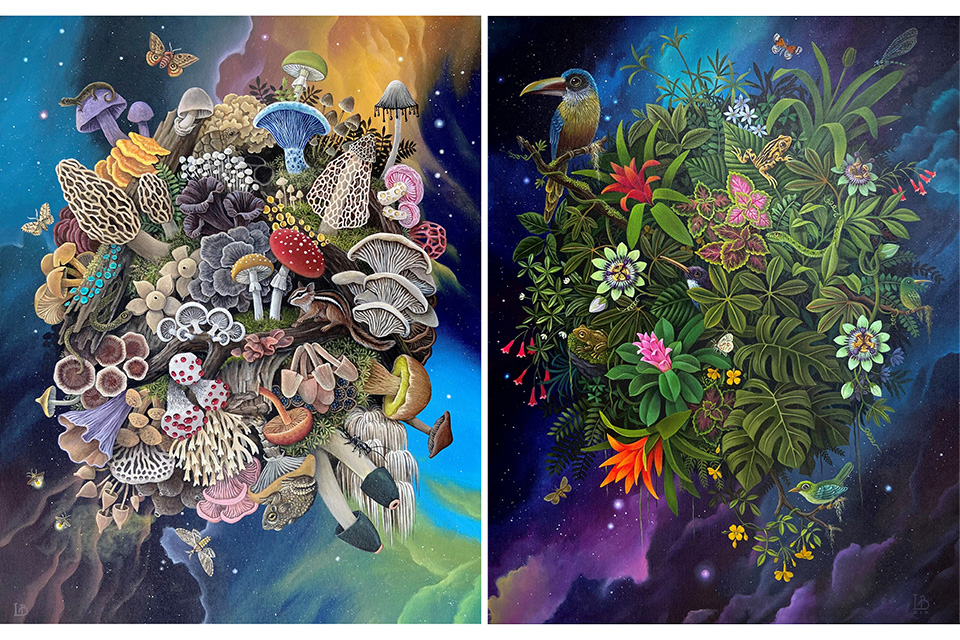 See 'Beyond Worlds: Paintings by Laine Bachman' in Canton