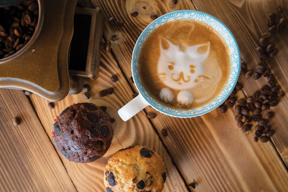 Latte with cat art with muffins and coffee beans (photo by iStock)