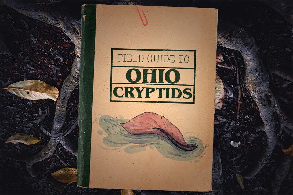 Field Guide to Ohio Cryptids (illustration by Oliver Allison)