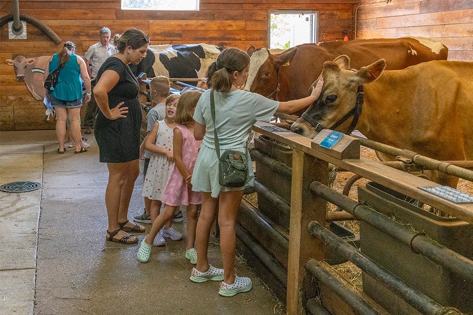 Dairy Days at Farmpark (Earl Linaburg)