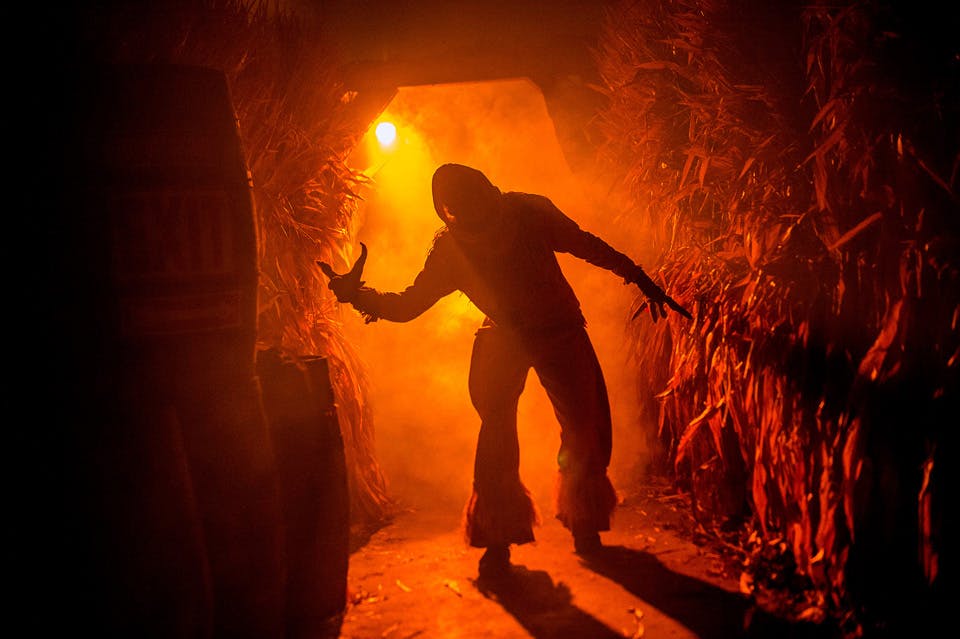 HalloWeekends at Cedar Point (courtesy of Cedar Point)