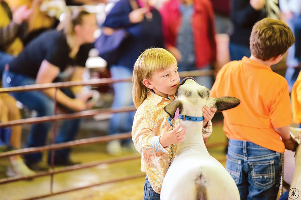 Child and goat at Wayne County Fair in Wooster (photo courtesy of Wayne County Fair) Child and goat at Wayne County Fair in Wooster (photo courtesy of Wayne County Fair)