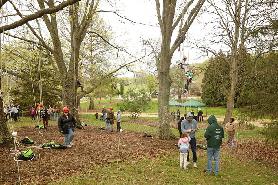 Kids climbing trees at The Dawes Arboretum (photo courtesy of The Dawes Arboretum)