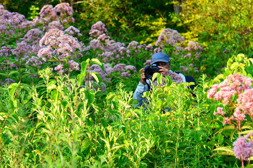 Man taking pictures of flowers in Kendall Hills (photo by Rick Santich/National Park Service)